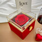 To My Daughter Gift, No Rain No Flowers, Forever Love Necklace with Rotating Rose Box
